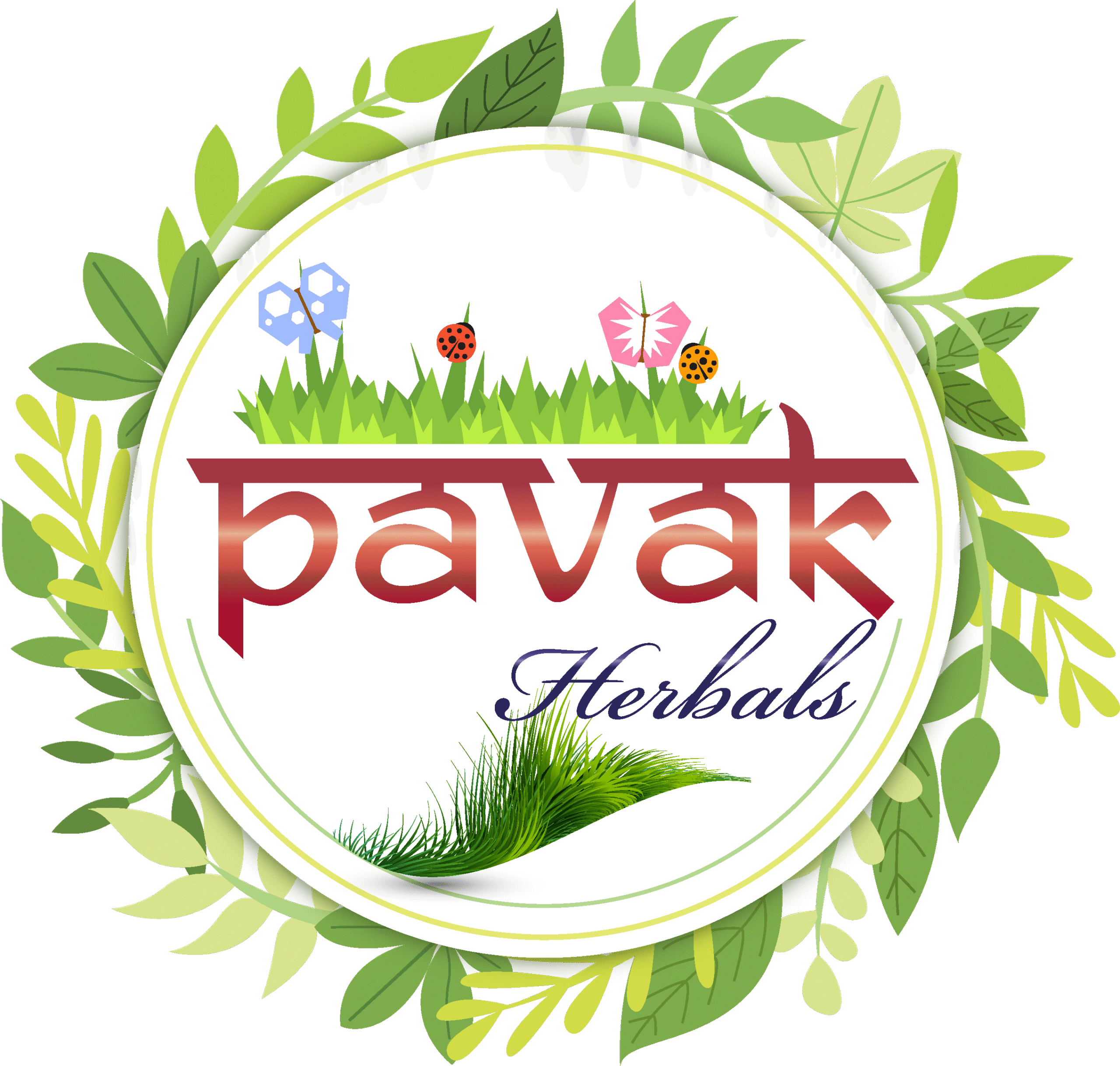 pavak herbal